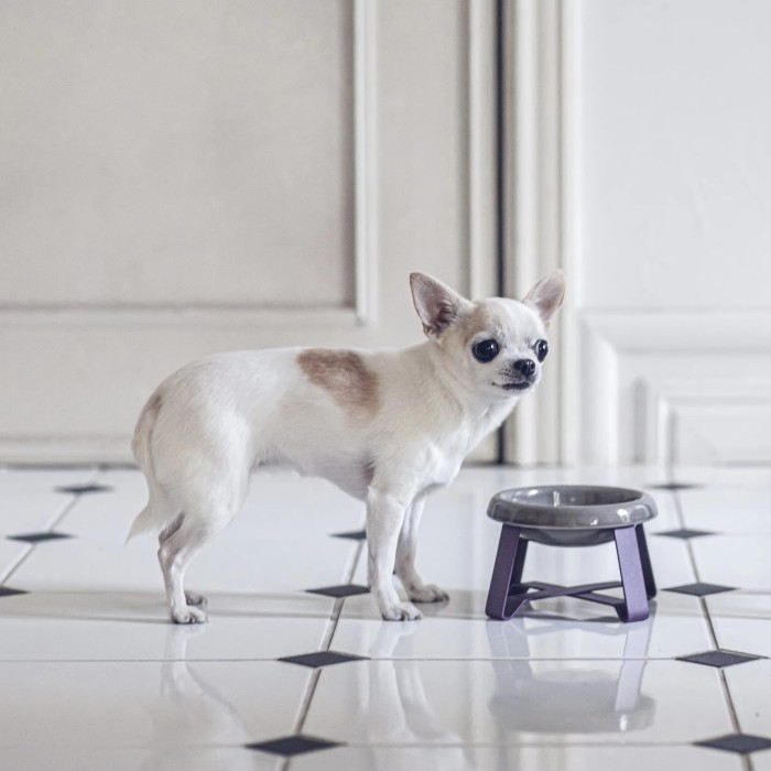 Hot selling trend: High-shelf cat and dog food bowls, durable ceramic pet bowls with stands, good supply, wholesale products