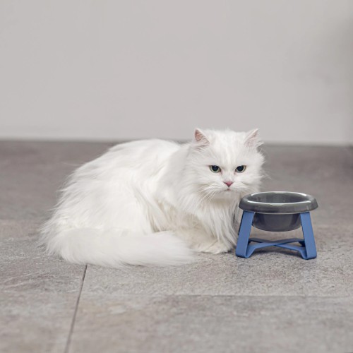 Hot selling trend: High-shelf cat and dog food bowls, durable ceramic pet bowls with stands, good supply, wholesale products