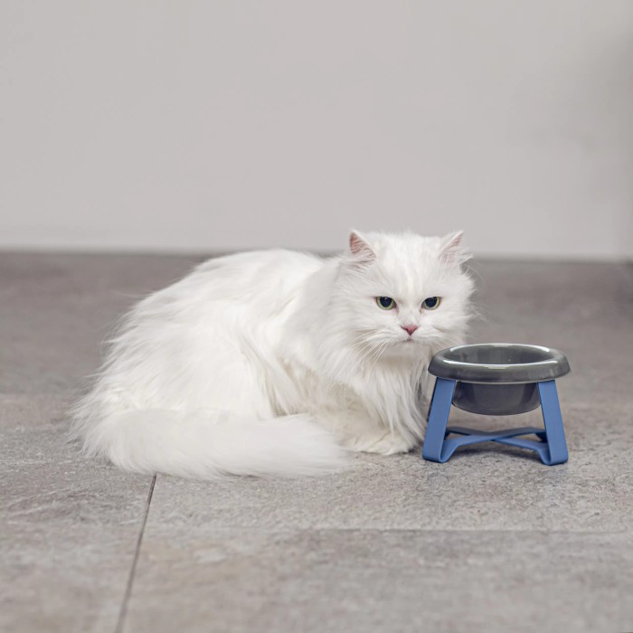Hot selling trend: High-shelf cat and dog food bowls, durable ceramic pet bowls with stands, good supply, wholesale products