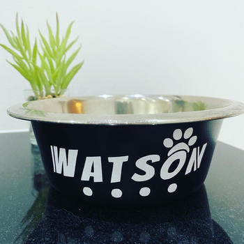 Silver pet bowl double bowl design, XL-sized stainless steel equipment with paw prints, dog feeding family garden pet food supplies