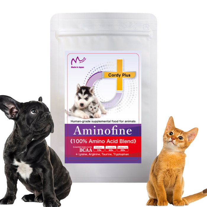 Customizable Nutritional Vitamin Powders for Dogs Cats Goats-Reliable Pet Health Care & Supplements From Supplies