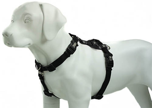 Customizable neoprene dog harness reversible and adjustable design pet products, with colorful decoration for brand-new dogs