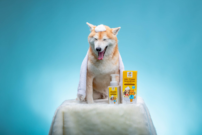 Pet grooming foam, natural dry foam shampoo, best-selling organic pet products for cats and dogs in Thailand