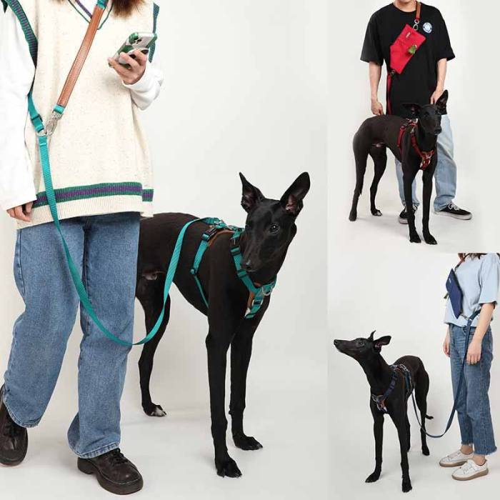 Quality guaranteed pet supply products: Outdoor nylon pet dog harnesses in Taiwan in various colors