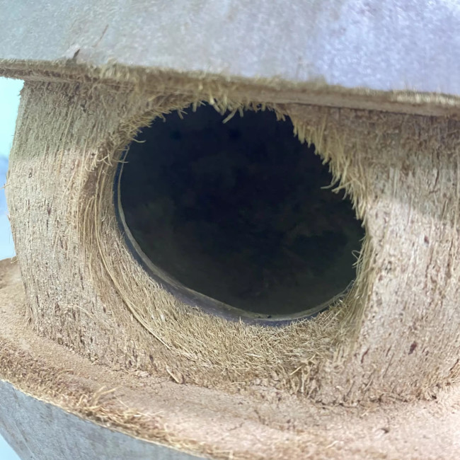 Coconut Hut Hideout Habitat 100% Natural Coconut Shell Made Coco Birds Nest for Bird/Hamster/Small Animal Pet Supplies
