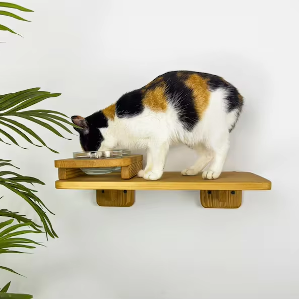 OEM ODM factory custom feeders, black furniture, cat wood floating feeders, wall-climbing gifts, pet high shelves, cat bowls, and pet supplies品