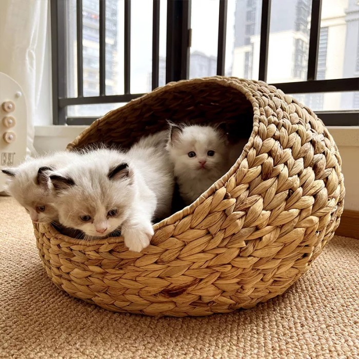 OEM and ODM pet products: cat cotton rope, water hyacinth basket bed, doughnut hug, safe bed for cats and dogs