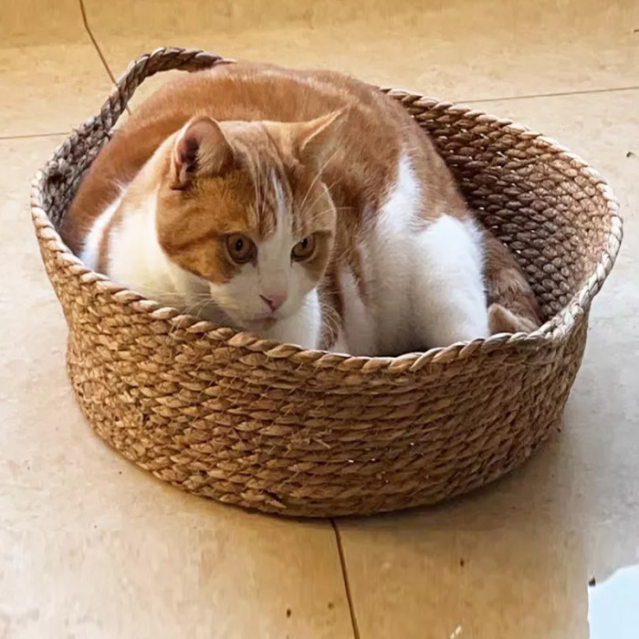OEM and ODM pet products: cat cotton rope, water hyacinth basket bed, doughnut hug, safe bed for cats and dogs