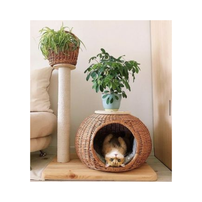 Cute and low-priced rattan pet house, windproof hand-woven dog home, 99 gold data home pet supply, large-sized various pets
