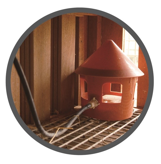 A pet bowl and feeder, low-pressure water supply intelligent bird feeder, automatic pigeon water dispenser