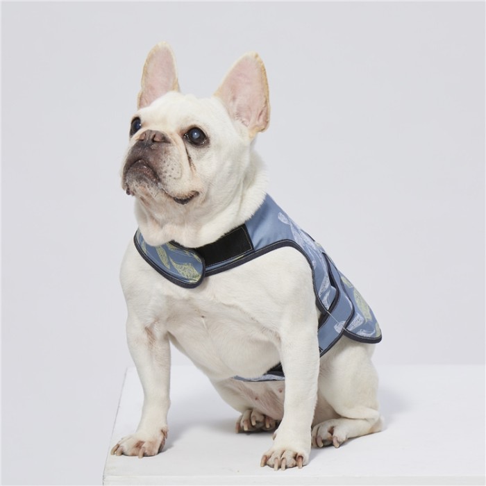 ODM custom logo Oem pet products digital printed Flora dog harness