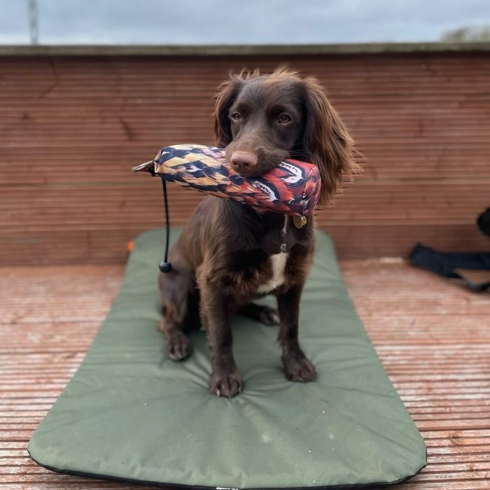 Wholesale of pheasant printed dummies, customizable colored canvas dummies, outdoor dog training pet supplies