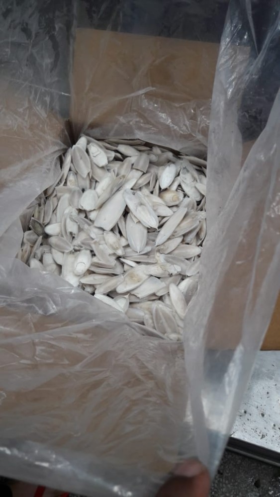 High-quality cuttlefish bone pet supplies, pet food, bird calcium, reptile pet supplements, medicine, medical birdcages