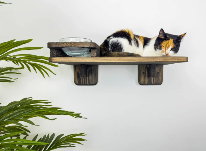 OEM ODM factory custom feeders, black furniture, cat wood floating feeders, wall-climbing gifts, pet high shelves, cat bowls, and pet supplies品