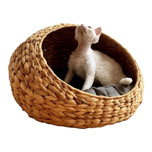 OEM and ODM pet products: cat cotton rope, water hyacinth basket bed, doughnut hug, safe bed for cats and dogs