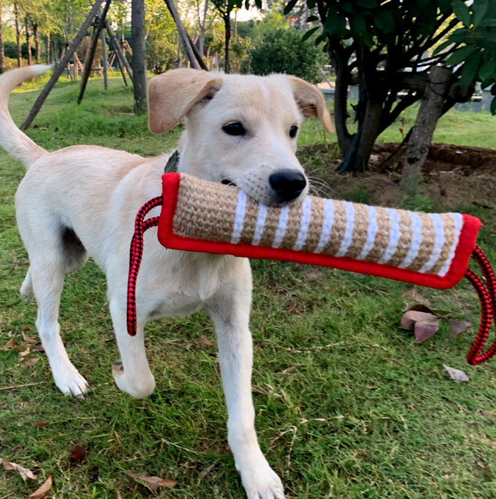 Bamboo dog training, bite force stick, thick rope, teeth grinding target, effective holding and standing pet supplies
