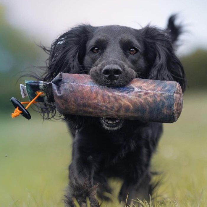 Wholesale of pheasant printed dummies, customizable colored canvas dummies, outdoor dog training pet supplies