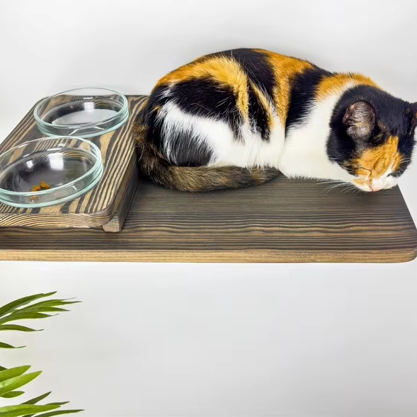 OEM ODM factory custom feeders, black furniture, cat wood floating feeders, wall-climbing gifts, pet high shelves, cat bowls, and pet supplies品