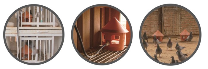 A pet bowl and feeder, low-pressure water supply intelligent bird feeder, automatic pigeon water dispenser