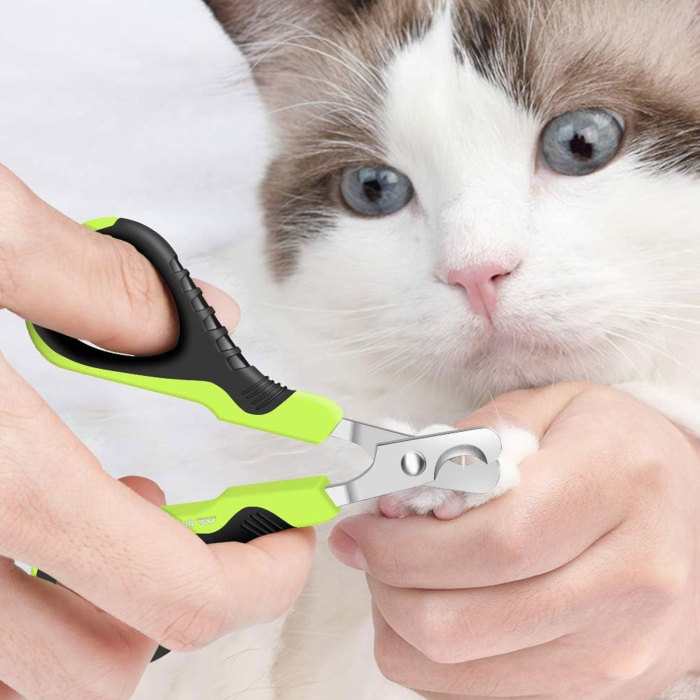 Black pet supplies, pet accessories, small dog, cat and bird nail clippers, nail clippers, trimmers, pet grooming brushes