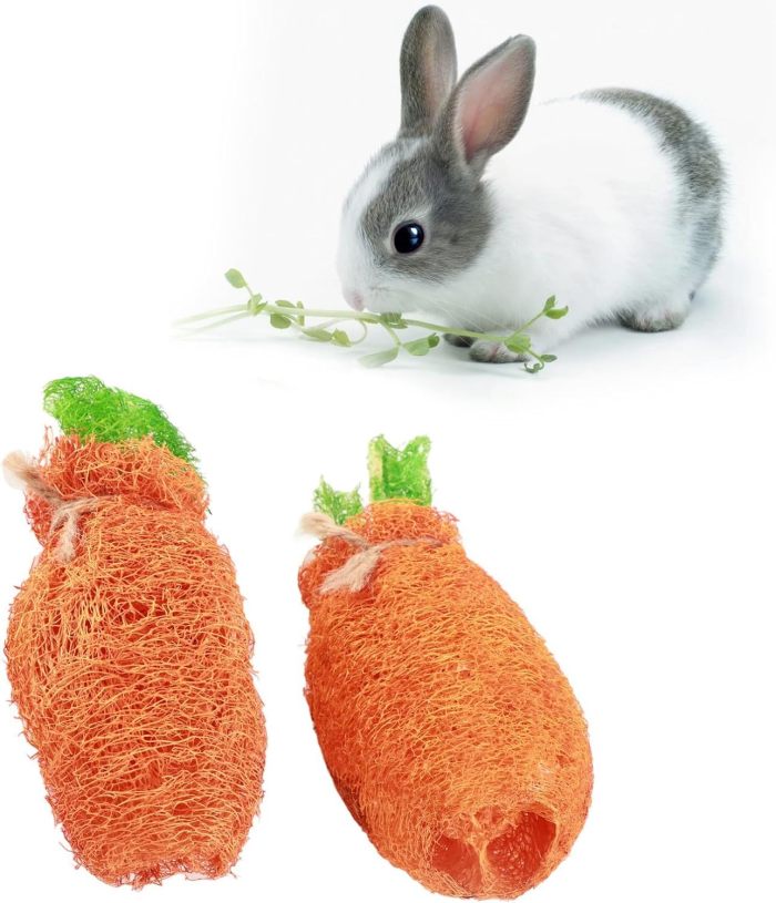 New handcrafted products from Vietnam at low prices, such as loofah rabbit, chewing teeth and teeth grinding toys, and pet supplies