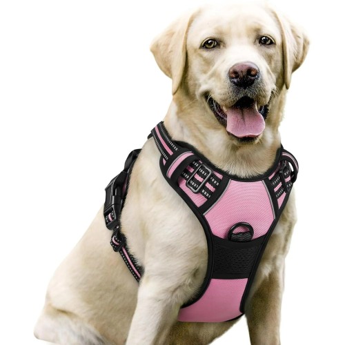 Luxurious autumn and winter plush dog vest, durable polyester pet leash, fashionable and cute new pet products