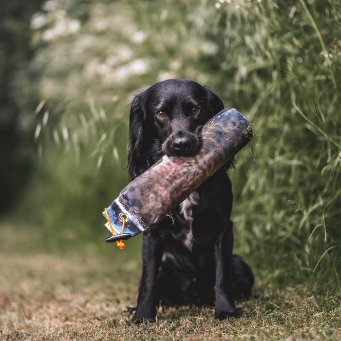 Wholesale of pheasant printed dummies, customizable colored canvas dummies, outdoor dog training pet supplies