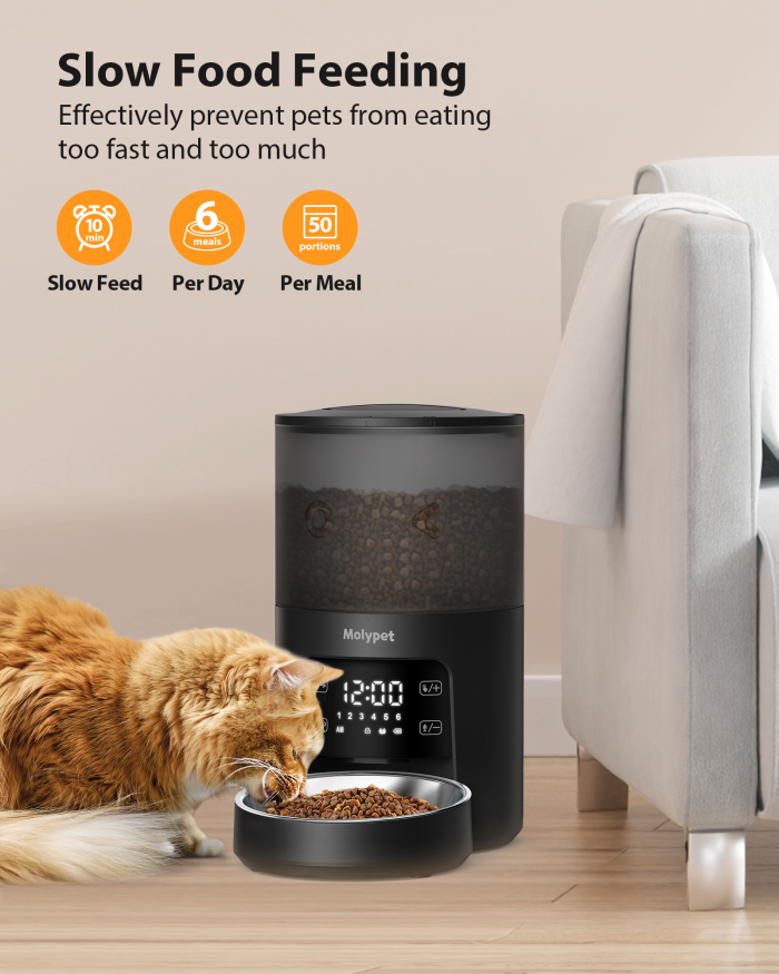 Wholesale 6L Smart WIFI Dual Power Supply 10 Meals 48 Protions Timer Pet Dry Food Feeder With Stainless Steel Bowls