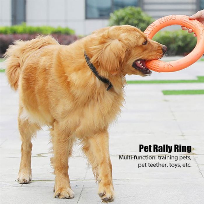2023 Outdoor interactive pet cat and dog toys, sustainable training ring pullers and anti-disc floating products