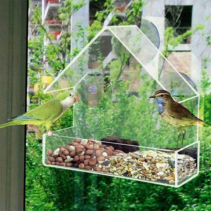 Exclusive acrylic bird feeding cages, hummingbird pet supplies, transparent wall-mounted bird cages in stock for wholesale