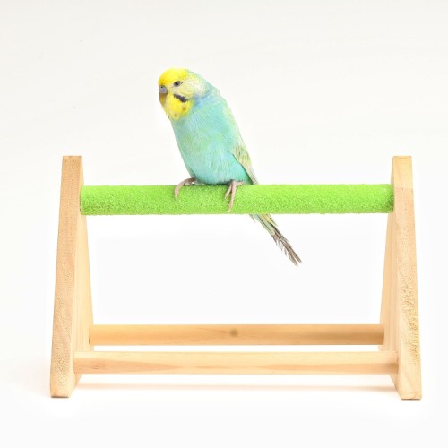 The manufacturer wholesals bird products such as parrot parrots, solid wood bass, easy-to-carry healthy bass, pet supplies, accessories and toys