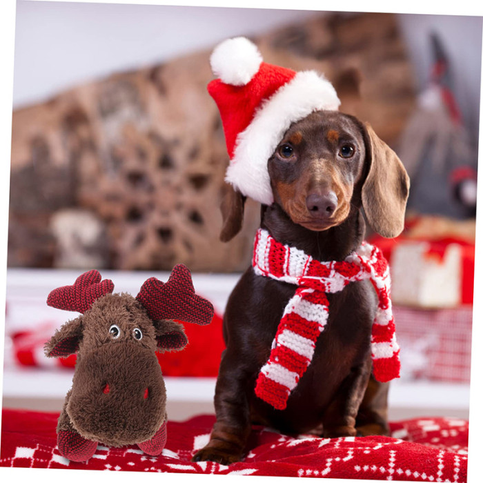 New best-selling Christmas gifts: reindeer plush pet products, anti-biting interactive cat toys, and indebreakable dog toys