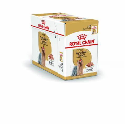 Wholesale and customized high-quality dog food supplier, organic and natural bulk dog food for pets