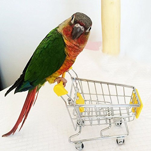 Hypeety Mini Shopping Handcart Trolley Bird Parrot Pet Intelligence Utility Cart Mode Storage Toy Decoration Toys (Purple)