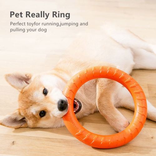 2023 Outdoor interactive pet cat and dog toys, sustainable training ring pullers and anti-disc floating products