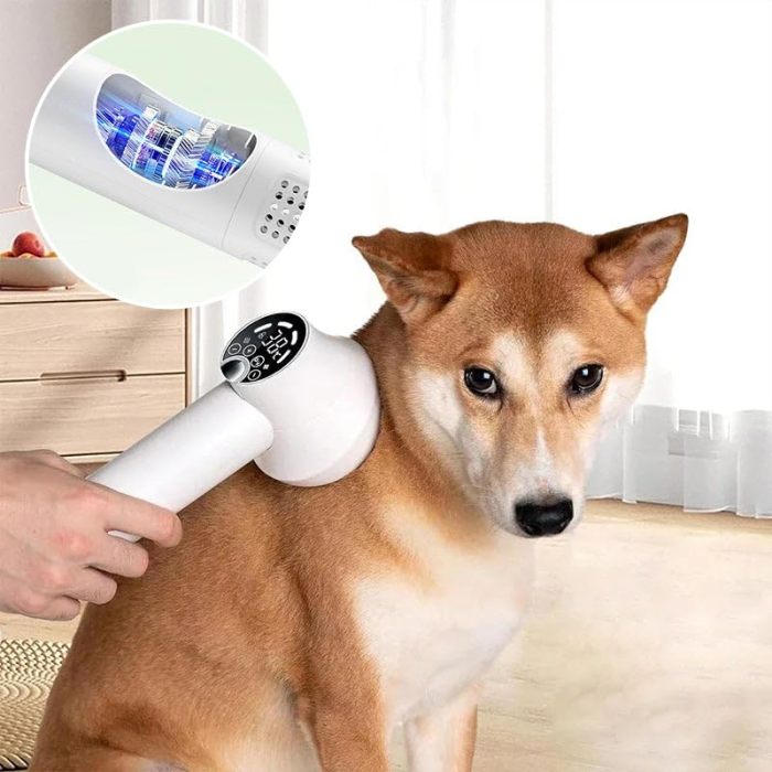 The light-emitting diode screen displays a low-noise smart two-in-one portable pet hair dryer with a pet grooming comb