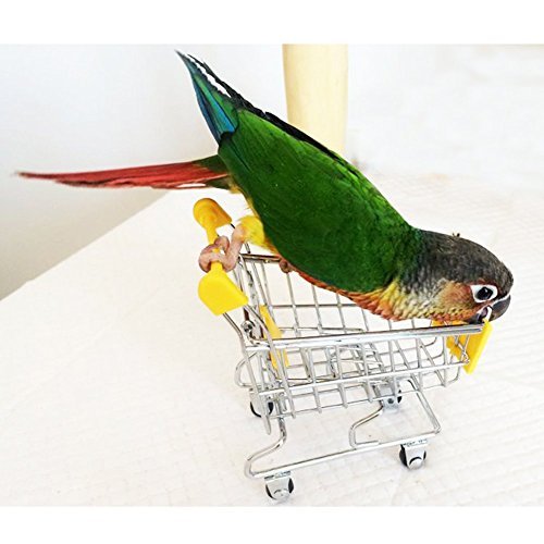 Hypeety Mini Shopping Handcart Trolley Bird Parrot Pet Intelligence Utility Cart Mode Storage Toy Decoration Toys (Purple)
