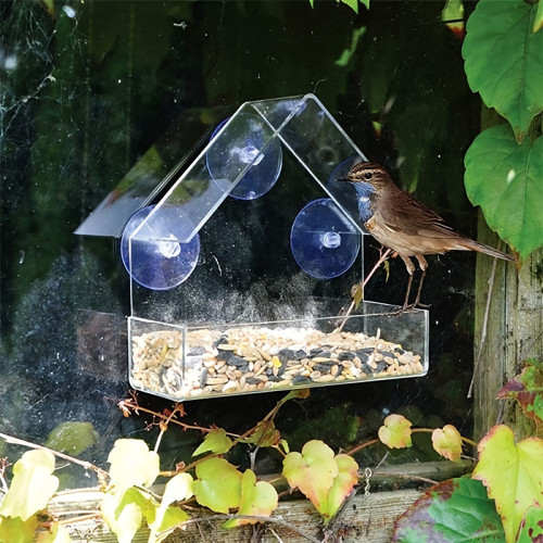 Exclusive acrylic bird feeding cages, hummingbird pet supplies, transparent wall-mounted bird cages in stock for wholesale