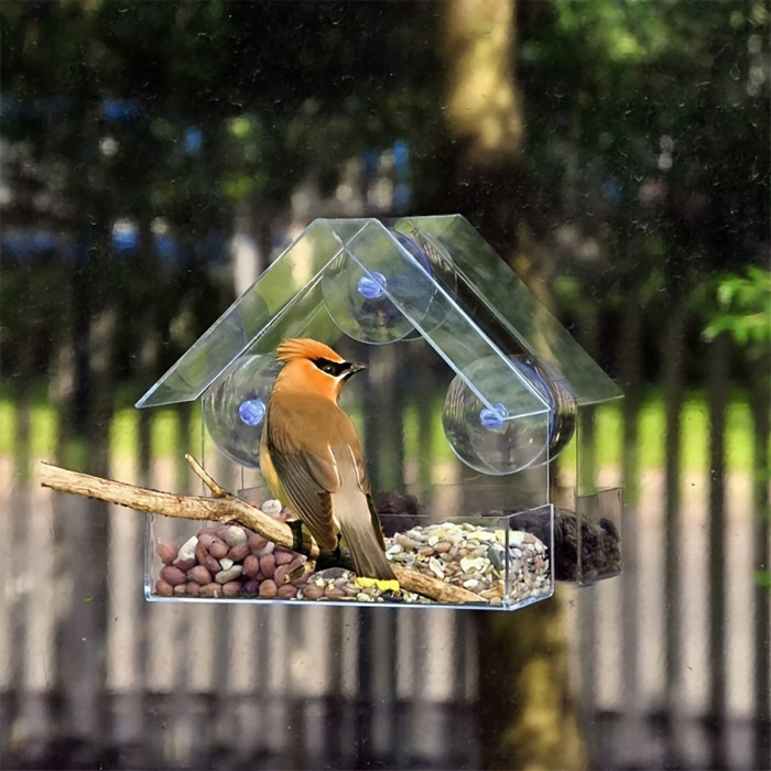 Exclusive acrylic bird feeding cages, hummingbird pet supplies, transparent wall-mounted bird cages in stock for wholesale