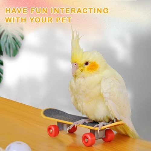 Bearded Dragon Skateboard Toys Bird Parrot Intelligence Toys Turtle Fast Skateboard Accessories Fun pet Turtle Play and Training Toy Mini Walking Skateboard Parrot Reptile Skateboard (Large)