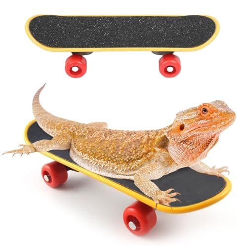 Bearded Dragon Skateboard Toys Bird Parrot Intelligence Toys Turtle Fast Skateboard Accessories Fun pet Turtle Play and Training Toy Mini Walking Skateboard Parrot Reptile Skateboard (Large)