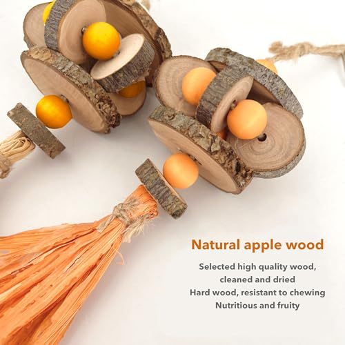 Parrot Intelligence Training Toys Set, Colorful Stackable Rings Training Toy (9 Pcs Rings), Natural applewood Parrot Tearing Toy,Wooden Bird Cage Toy Suitable for Most Pet Birds