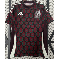 24-25 Mexico Home Fans Soccer Jersey