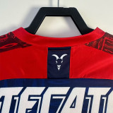 2019-2020 Chivas Guadalajara Home Long Sleeve Retro Soccer Jersey (长袖)