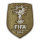 FFWCC2014 (世界杯胸前冠)