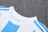 2025 AD White blue Training Short Suit