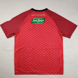 25-26 Deportivo Palestino Red Special Edition Fans Soccer Jersey