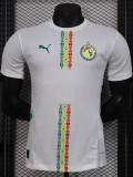 24-25 Senegal Home Player Version Soccer Jersey