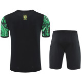 25-26 Brazil Green Training Short Suit