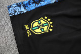 25-26 Brazil Blue Training Short Suit